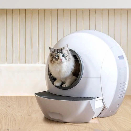 Automated Smart Litter Box With Wifi