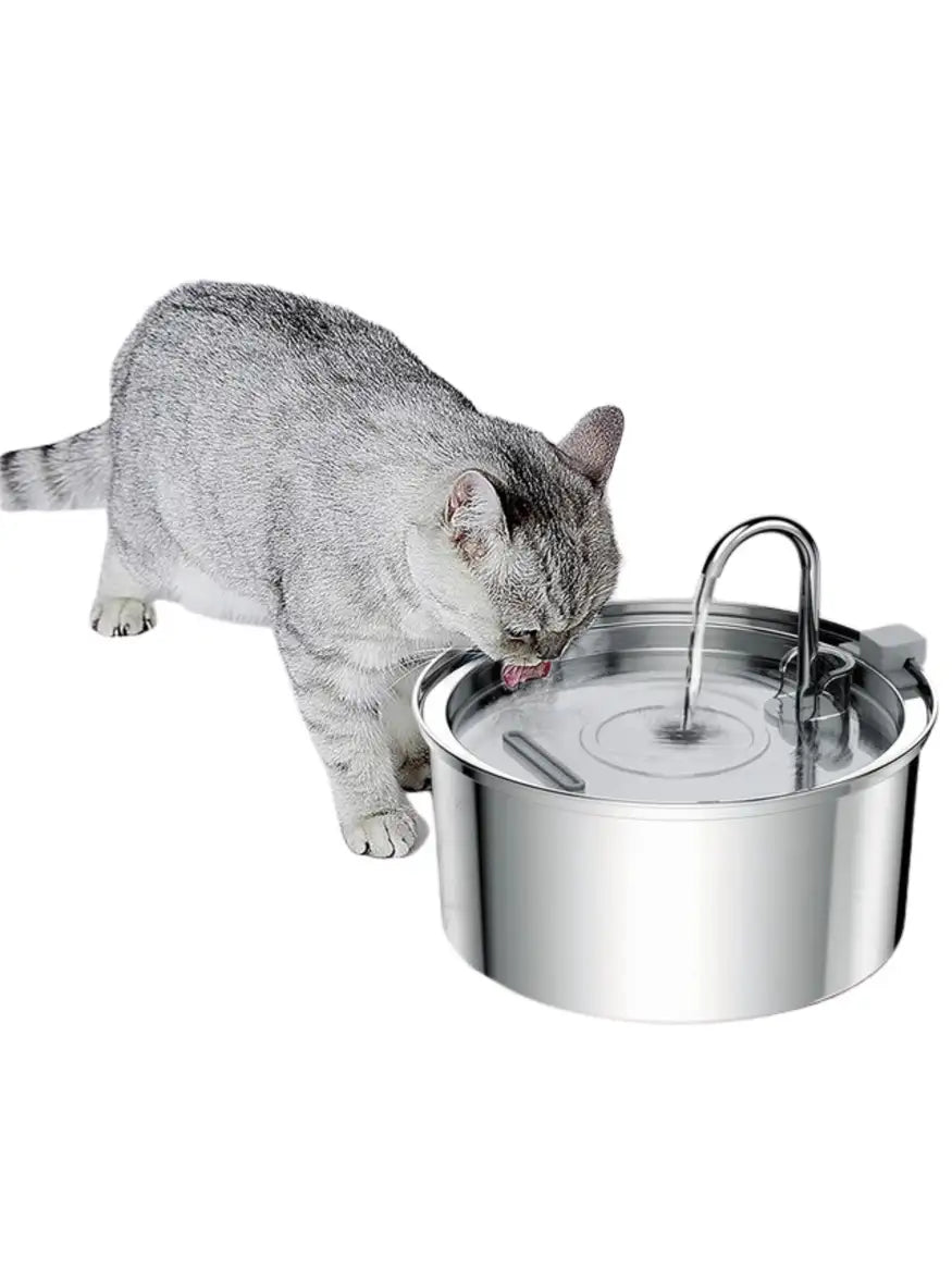 Stainless Automatic Water Dispenser