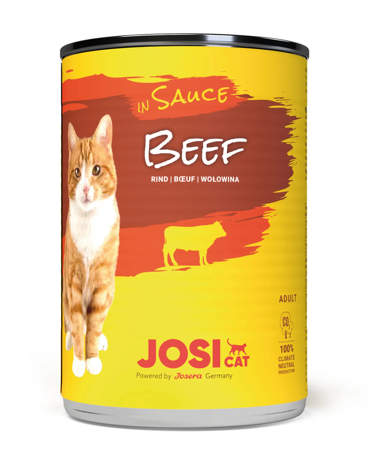Josi Cat - Beef In Sauce