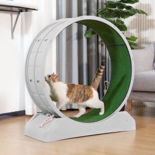 Silent Treadmill Running Wheel for Cats and Small Dogs