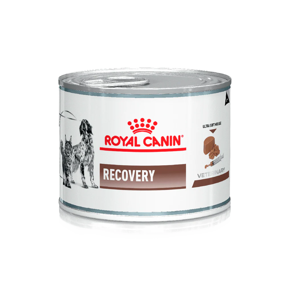 Royal Canin Recovery Mousse