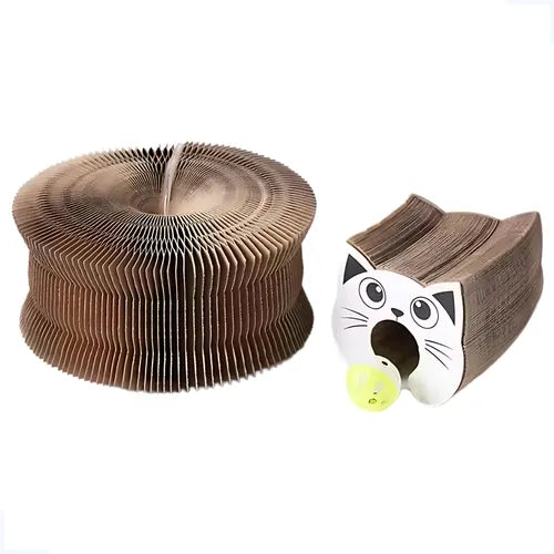 Accordion Scratcher With Ball
