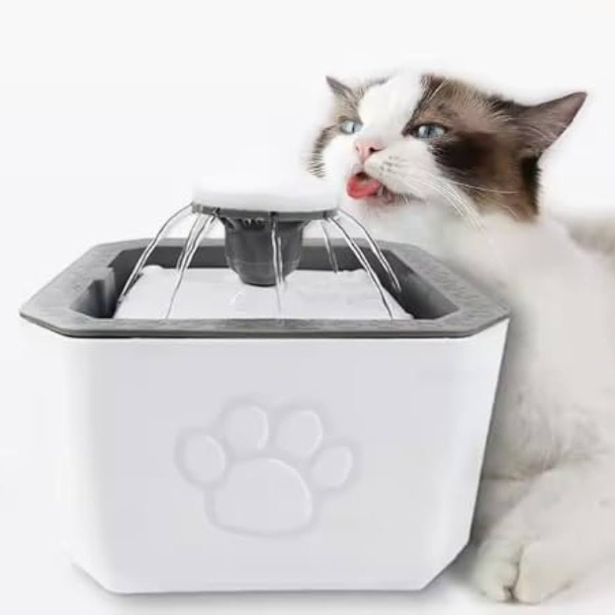 Plastic Water Fountain