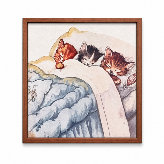 Framed Cat Picture 10