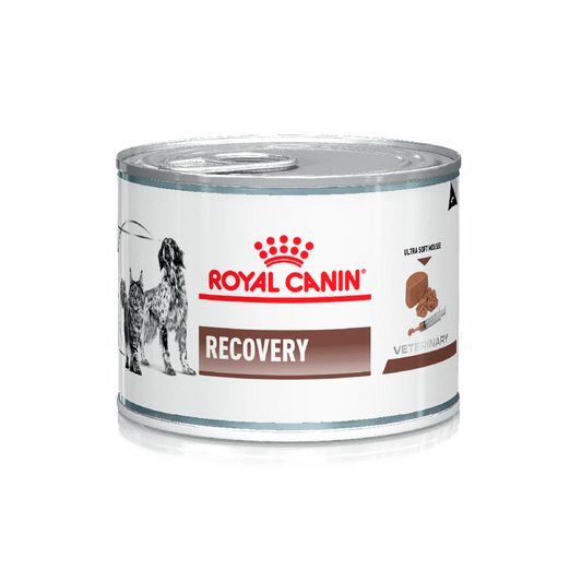 Royal Canin Recovery Mousse